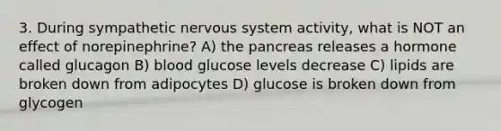 3. During sympathetic nervous system activity, what is NOT an effect of norepinephrine? A) the pancreas releases a hormone called glucagon B) blood glucose levels decrease C) lipids are broken down from adipocytes D) glucose is broken down from glycogen