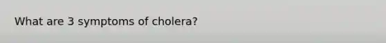 What are 3 symptoms of cholera?