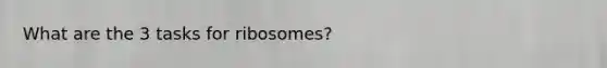 What are the 3 tasks for ribosomes?