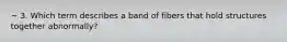 ~ 3. Which term describes a band of fibers that hold structures together abnormally?