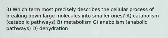 3) Which term most precisely describes the cellular process of breaking down large molecules into smaller ones? A) catabolism (catabolic pathways) B) metabolism C) anabolism (anabolic pathways) D) dehydration