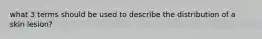 what 3 terms should be used to describe the distribution of a skin lesion?