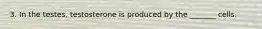 3. In the testes, testosterone is produced by the _______ cells.