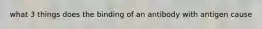 what 3 things does the binding of an antibody with antigen cause