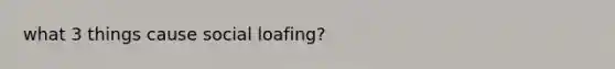 what 3 things cause social loafing?