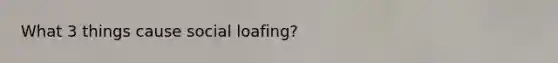 What 3 things cause social loafing?