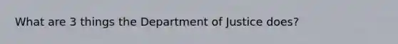 What are 3 things the Department of Justice does?