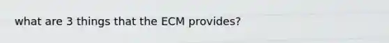 what are 3 things that the ECM provides?