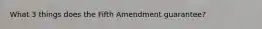 What 3 things does the Fifth Amendment guarantee?