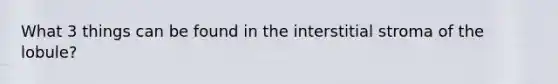 What 3 things can be found in the interstitial stroma of the lobule?