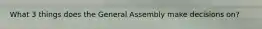 What 3 things does the General Assembly make decisions on?