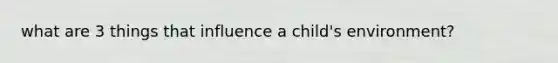 what are 3 things that influence a child's environment?