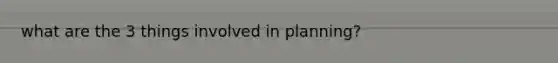what are the 3 things involved in planning?