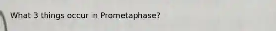 What 3 things occur in Prometaphase?