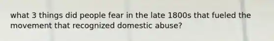 what 3 things did people fear in the late 1800s that fueled the movement that recognized domestic abuse?