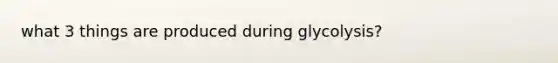 what 3 things are produced during glycolysis?