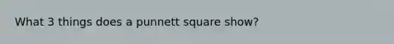 What 3 things does a punnett square show?