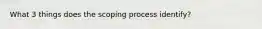 What 3 things does the scoping process identify?