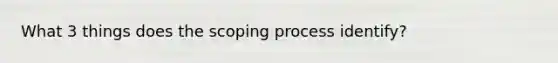 What 3 things does the scoping process identify?