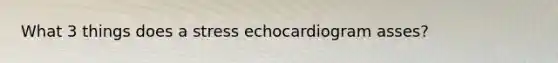 What 3 things does a stress echocardiogram asses?