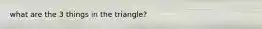 what are the 3 things in the triangle?