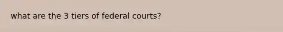 what are the 3 tiers of federal courts?