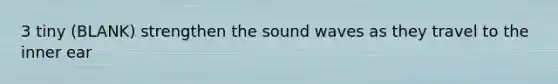 3 tiny (BLANK) strengthen the sound waves as they travel to the inner ear