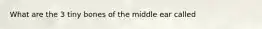 What are the 3 tiny bones of the middle ear called