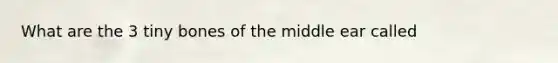 What are the 3 tiny bones of the middle ear called