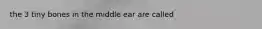 the 3 tiny bones in the middle ear are called