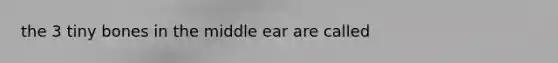 the 3 tiny bones in the middle ear are called