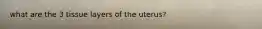 what are the 3 tissue layers of the uterus?