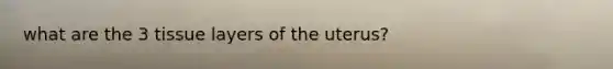 what are the 3 tissue layers of the uterus?