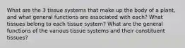 What are the 3 tissue systems that make up the body of a plant, and what general functions are associated with each? What tissues belong to each tissue system? What are the general functions of the various tissue systems and their constituent tissues?