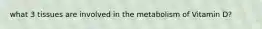 what 3 tissues are involved in the metabolism of Vitamin D?