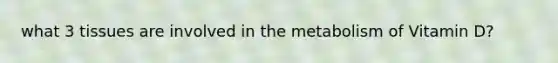 what 3 tissues are involved in the metabolism of Vitamin D?