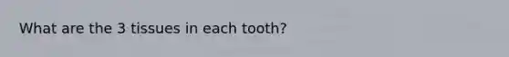 What are the 3 tissues in each tooth?