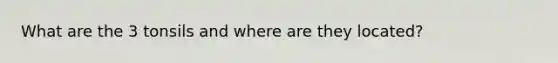 What are the 3 tonsils and where are they located?