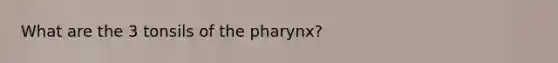 What are the 3 tonsils of <a href='https://www.questionai.com/knowledge/ktW97n6hGJ-the-pharynx' class='anchor-knowledge'>the pharynx</a>?