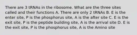 There are 3 tRNAs in the ribosome. What are the three sites called and their functions A. There are only 2 tRNAs B. E is the enter site, P is the phosphorus site, A is the after site C. E is the exit site, P is the peptide building site, A is the arrival site D. E is the exit site, P is the phosphorus site, A is the Amino site