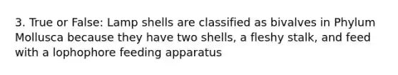 3. True or False: Lamp shells are classified as bivalves in Phylum Mollusca because they have two shells, a fleshy stalk, and feed with a lophophore feeding apparatus