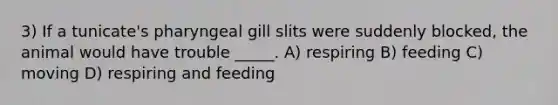 3) If a tunicate's pharyngeal gill slits were suddenly blocked, the animal would have trouble _____. A) respiring B) feeding C) moving D) respiring and feeding