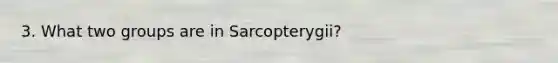 3. What two groups are in Sarcopterygii?