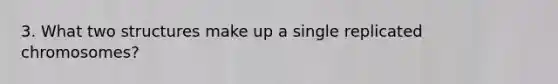 3. What two structures make up a single replicated chromosomes?