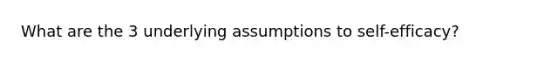 What are the 3 underlying assumptions to self-efficacy?