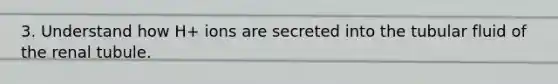 3. Understand how H+ ions are secreted into the tubular fluid of the renal tubule.