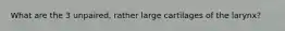What are the 3 unpaired, rather large cartilages of the larynx?