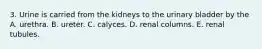 3. Urine is carried from the kidneys to the urinary bladder by the A. urethra. B. ureter. C. calyces. D. renal columns. E. renal tubules.