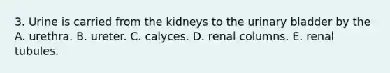 3. Urine is carried from the kidneys to the <a href='https://www.questionai.com/knowledge/kb9SdfFdD9-urinary-bladder' class='anchor-knowledge'>urinary bladder</a> by the A. urethra. B. ureter. C. calyces. D. renal columns. E. renal tubules.