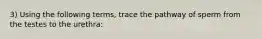 3) Using the following terms, trace the pathway of sperm from the testes to the urethra: